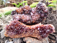 Natural Amethystos Amethyst Clusters x 13 From Kwaggafontein, South Africa