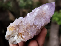 Natural Amethyst Spirit Quartz Clusters x 12 From Boekenhouthoek, South Africa