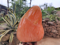 Polished Orange Twist Calcite Standing Free Forms x 2 From Madagascar