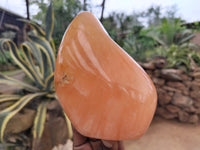 Polished Orange Twist Calcite Standing Free Forms x 2 From Madagascar