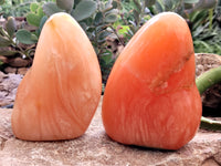 Polished Orange Twist Calcite Standing Free Forms x 2 From Madagascar