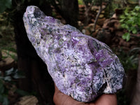 Natural Stichtite Cobbed Specimens x 3 From Barberton, South Africa