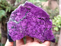 Polished On One Side Purpurite Specimens x 6 From Namibia