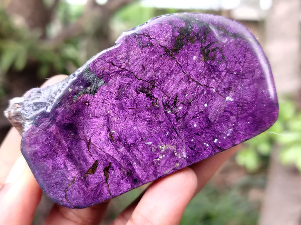 Polished On One Side Purpurite Specimens x 6 From Namibia