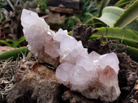 Natural Amethyst Spirit Quartz Clusters x 6 From Boekenhouthoek, South Africa