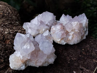 Natural Amethyst Spirit Quartz Clusters x 6 From Boekenhouthoek, South Africa