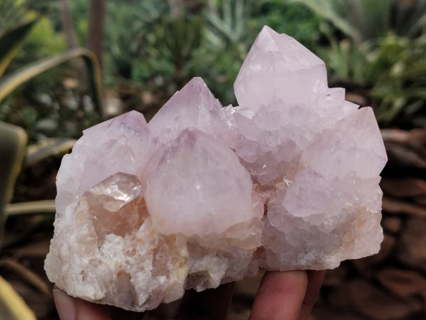 Natural Amethyst Spirit Quartz Clusters x 6 From Boekenhouthoek, South Africa