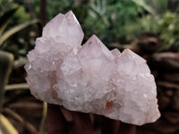 Natural Amethyst Spirit Quartz Clusters x 6 From Boekenhouthoek, South Africa