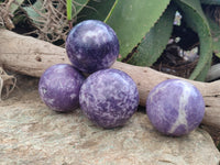 Polished Lepidolite Sphere's x 4 From Zimbabwe