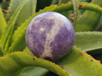 Polished Lepidolite Sphere's x 4 From Zimbabwe