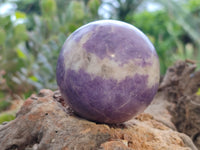 Polished Lepidolite Sphere's x 4 From Zimbabwe