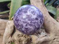 Polished Lepidolite Sphere's x 4 From Zimbabwe