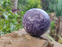 Polished Lepidolite Sphere's x 4 From Zimbabwe