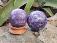 Polished Lepidolite Sphere's x 4 From Zimbabwe