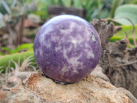 Polished Lepidolite Sphere's x 4 From Zimbabwe