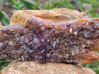 Natural Amethystos Amethyst Plates x 13 From Kwaggafontein, South Africa