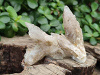 Natural Drusy Quartz Coated Calcite Pseudomorph Specimens x 35 From Alberts Mountain, Lesotho