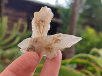 Natural Drusy Quartz Coated Calcite Pseudomorph Specimens x 35 From Alberts Mountain, Lesotho