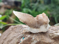 Natural Drusy Quartz Coated Calcite Pseudomorph Specimens x 35 From Alberts Mountain, Lesotho