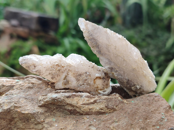 Natural Drusy Quartz Coated Calcite Pseudomorph Specimens x 35 From Alberts Mountain, Lesotho