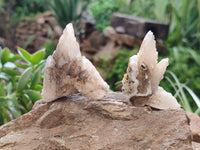 Natural Drusy Quartz Coated Calcite Pseudomorph Specimens x 35 From Alberts Mountain, Lesotho