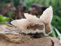 Natural Drusy Quartz Coated Calcite Pseudomorph Specimens x 35 From Alberts Mountain, Lesotho