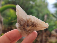 Natural Drusy Quartz Coated Calcite Pseudomorph Specimens x 35 From Alberts Mountain, Lesotho