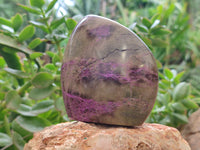 Polished Stichtite Standing Free Forms x 4 From Barberton, South Africa