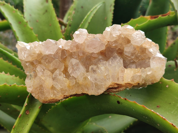 Natural Limonite Quartz Clusters x 3 From Solwezi, Zambia