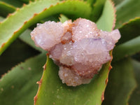 Natural Ametrine Spirit Quartz Clusters x 12 From Boekenhouthoek, South Africa