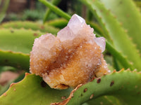 Natural Ametrine Spirit Quartz Clusters x 12 From Boekenhouthoek, South Africa