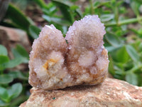 Natural Ametrine Spirit Quartz Clusters x 12 From Boekenhouthoek, South Africa