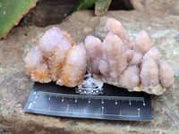 Natural Ametrine Spirit Quartz Clusters x 12 From Boekenhouthoek, South Africa