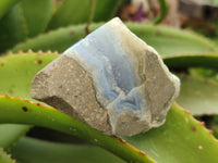 Polished On One Side Blue Lace Agate Geodes x 12 From Nsanje, Malawi