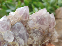 Natural Ametrine Spirit Quartz Clusters x 2 From Boekenhouthoek, South Africa