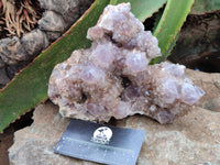 Natural Ametrine Spirit Quartz Clusters x 2 From Boekenhouthoek, South Africa