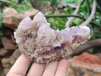 Natural Ametrine Spirit Quartz Clusters x 2 From Boekenhouthoek, South Africa