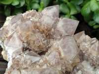 Natural Ametrine Spirit Quartz Clusters x 2 From Boekenhouthoek, South Africa