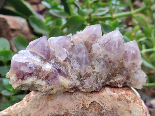 Natural Ametrine Spirit Quartz Clusters x 2 From Boekenhouthoek, South Africa