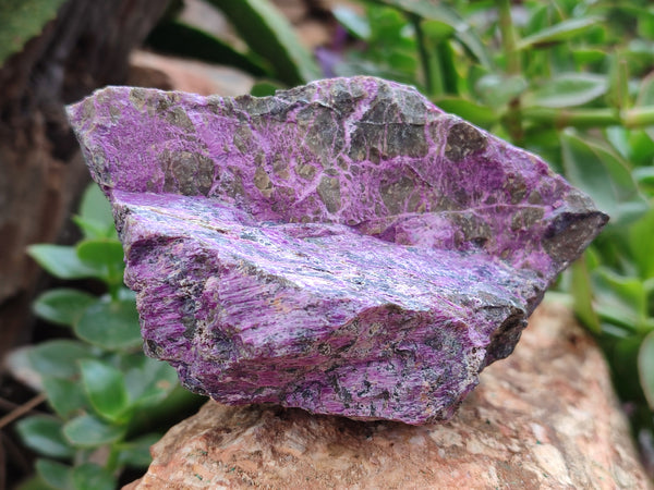 Natural Stichtite Cobbed Specimens x 4 From Barberton, South Africa