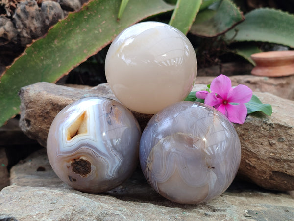 Polished Banded Agate Spheres x 3 From Madagascar