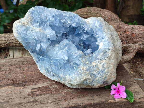 Natural Celestite Geode Specimens x 1 From Sakoany, Madagascar