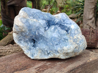 Natural Celestite Geode Specimens x 1 From Sakoany, Madagascar