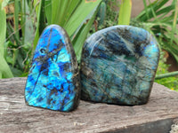 Polished Labradorite Standing Free Forms x 2 From Tulear, Madagascar