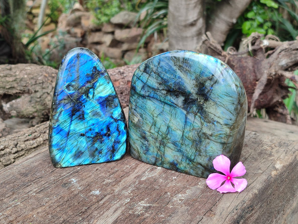 Polished Labradorite Standing Free Forms x 2 From Tulear, Madagascar