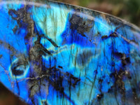 Polished Labradorite Standing Free Forms x 2 From Tulear, Madagascar