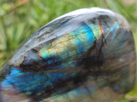 Polished Labradorite Standing Free Forms x 2 From Tulear, Madagascar