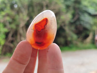 Polished Carnelian Eggs x 20 From Madagascar