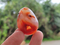 Polished Carnelian Eggs x 20 From Madagascar