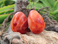 Polished Carnelian Eggs x 20 From Madagascar